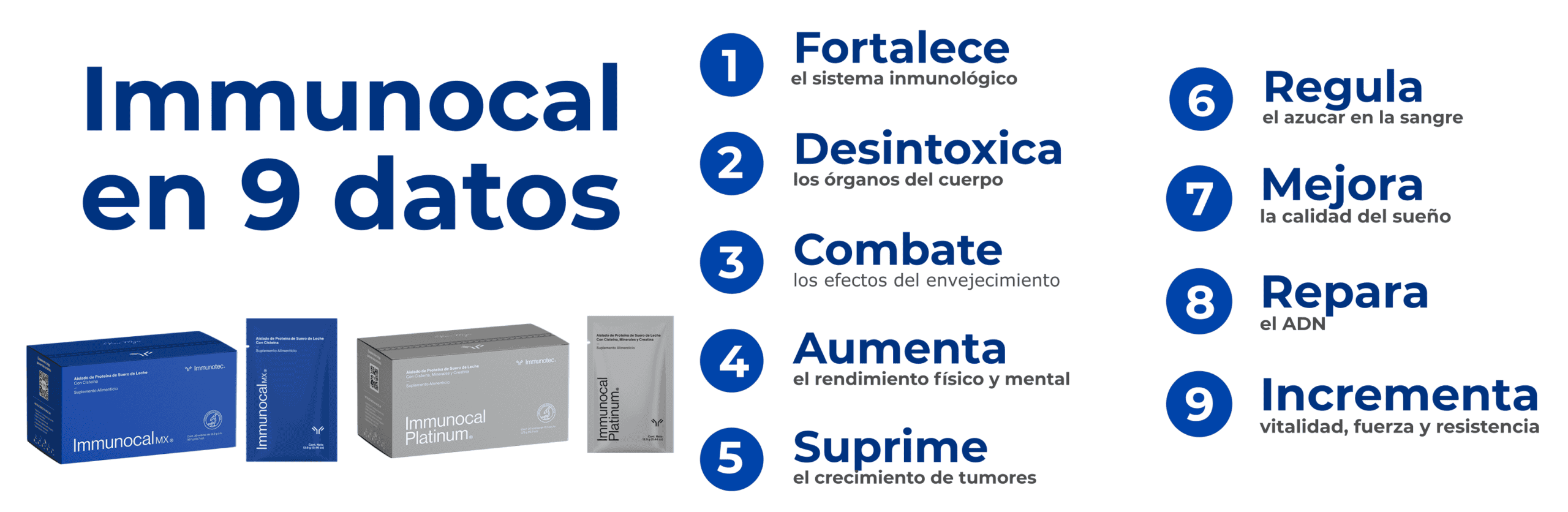 Publicidad 2 Immtec